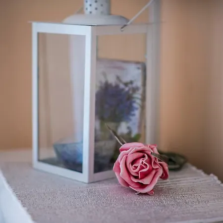 Rose Πανσιόν